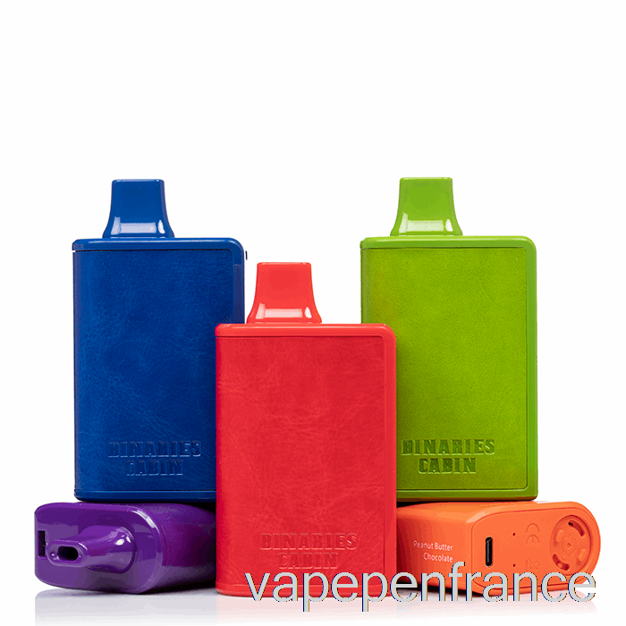 Horizon Binaires Cabine 10000 Stylo Vape Jetable à La Menthe Verte